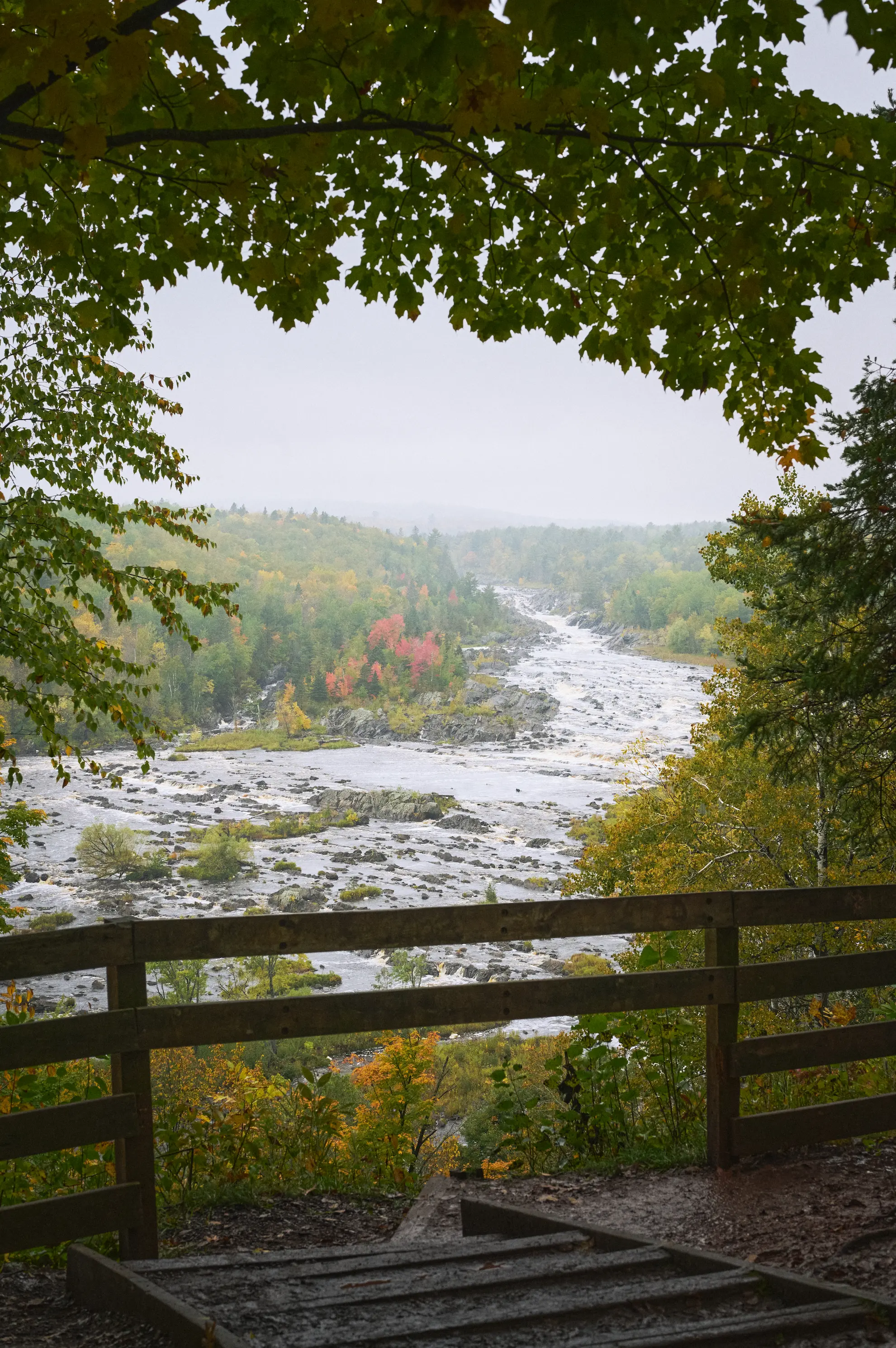 Through the trees, past a wooden fence, a massive river cuts through the dense Minnesotan north woods. Hundreds of rocks scatter in the rapids.